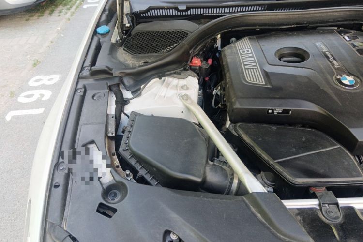 Used BMW 5 Series 2020 530Li Luxury Edition Premium Package Engine Bay Right
