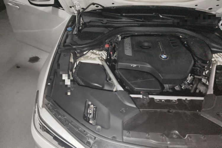 Used BMW 5 Series 2020 530Li Leading Edition Luxury Package Engine Bay Right