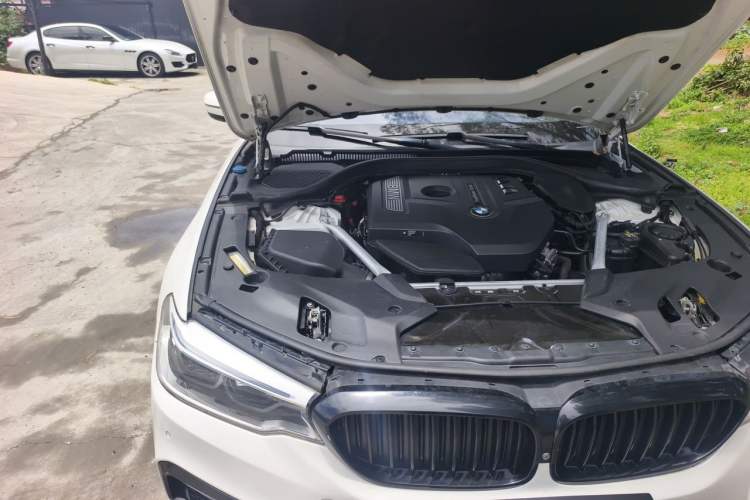 Used BMW 5 Series 2020 530Li Luxury Edition M Sport Package Engine Bay Right