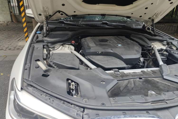 Used BMW 5 Series 2020 530Li Luxury Edition Premium Package Engine Bay Right