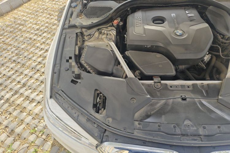 Used BMW 5 Series 2020 530Li xDrive Luxury Package Engine Bay Right