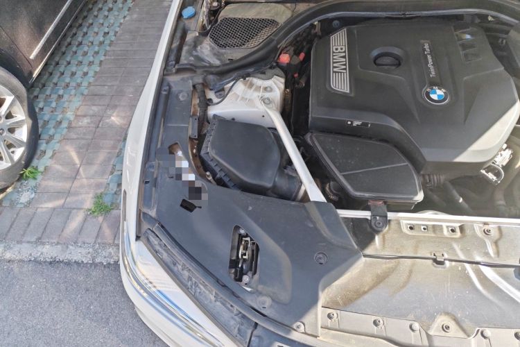 Used BMW 5 Series 2020 530Li Leading Model M Sport Package Engine Bay Right