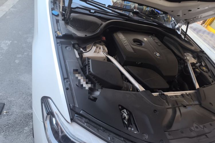 Used BMW 5 Series 2020 530Li Luxury Edition Premium Package Engine Bay Right