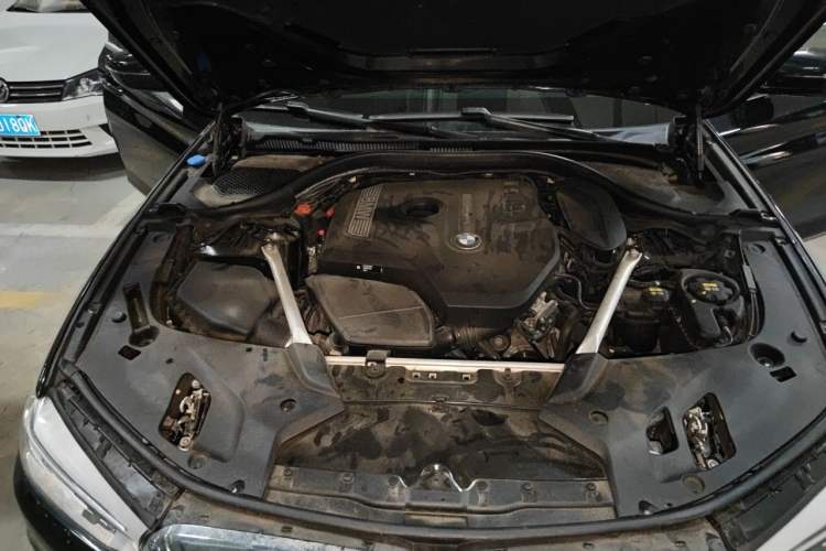 Used BMW 5 Series 2020 530Li Leading Edition Luxury Package Engine Bay Right
