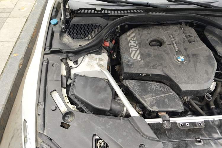 Used BMW 5 Series 2020 530Li Luxury Edition M Sport Package Engine Bay Right