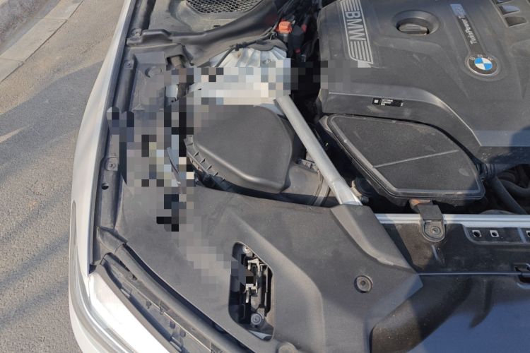 Used BMW 5 Series 2020 530Li xDrive Luxury Package Engine Bay Right