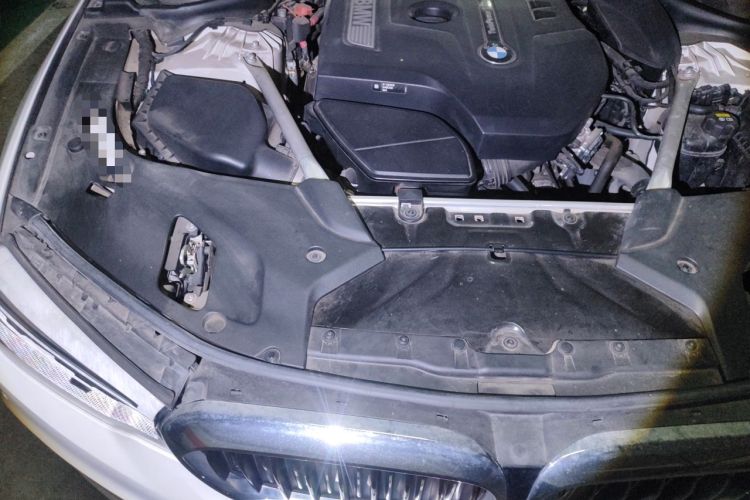 Used BMW 5 Series 2020 530Li Luxury Edition Premium Package Engine Bay Right