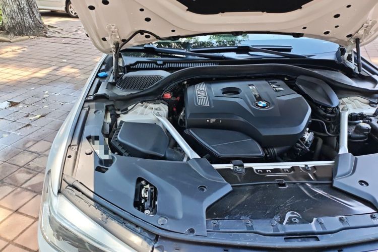 Used BMW 5 Series 2020 530Li Leading Edition Luxury Package Engine Bay Right