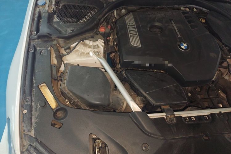 Used BMW 5 Series 2020 530Li Luxury Edition Premium Package Engine Bay Right