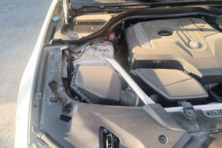 Used BMW 5 Series 2020 530Li Luxury Edition M Sport Package Engine Bay Right