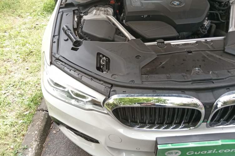 Used BMW 5 Series 2020 530Li Luxury Edition M Sport Package Engine Bay Right