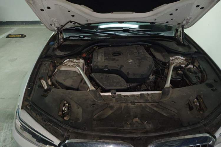 Used BMW 5 Series 2020 530Li Leading Edition Luxury Package Engine Bay Right