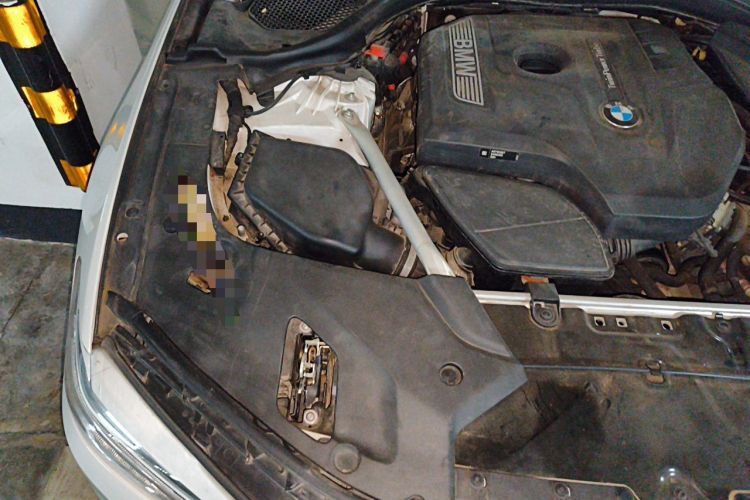 Used BMW 5 Series 2020 530Li Leading Edition Luxury Package Engine Bay Right