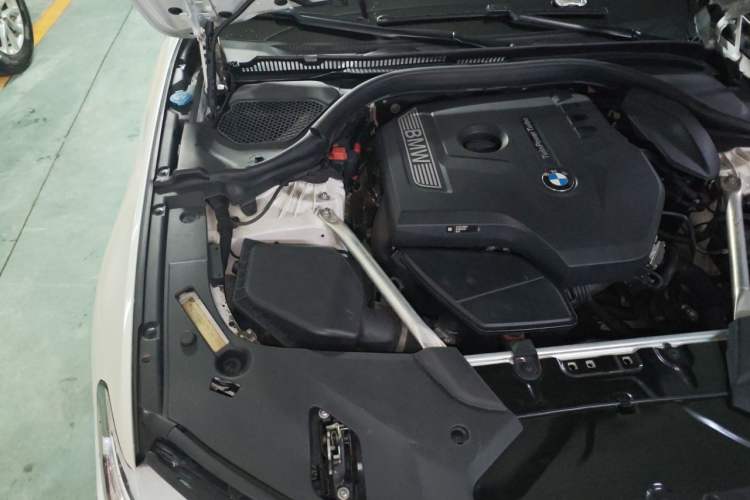 Used BMW 5 Series 2020 530Li Luxury Edition Premium Package Engine Bay Right