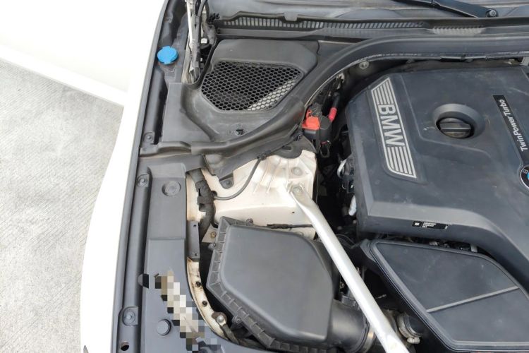 Used BMW 5 Series 2020 530Li Luxury Edition M Sport Package Engine Bay Right