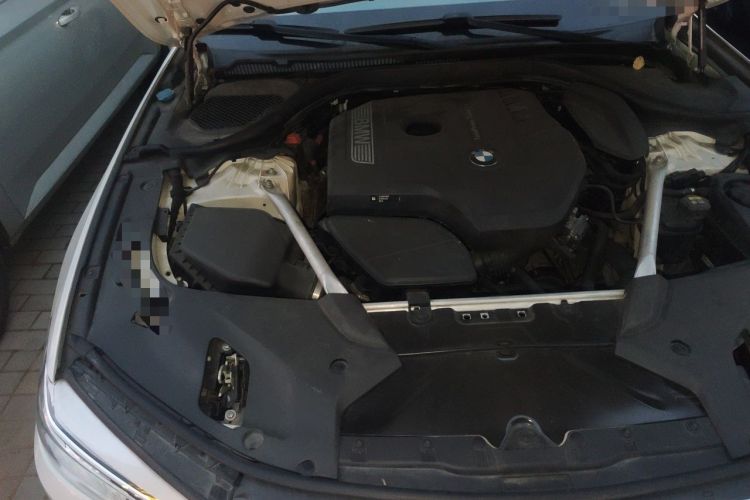 Used BMW 5 Series 2020 530Li Luxury Edition Premium Package Engine Bay Right