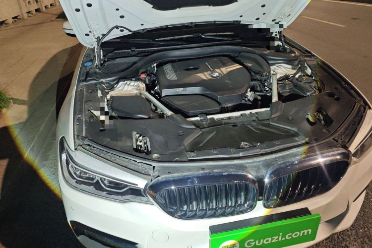 Used BMW 5 Series 2020 530Li Luxury Edition M Sport Package Engine Bay Right
