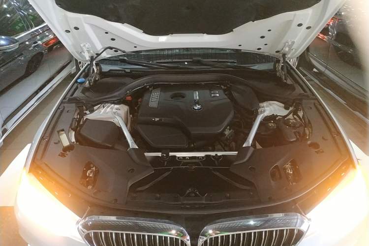 Used BMW 5 Series 2020 530Li Luxury Edition Premium Package Engine Bay