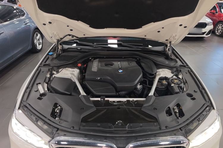 Used BMW 5 Series 2020 530Li Leading Model M Sport Package Engine Bay