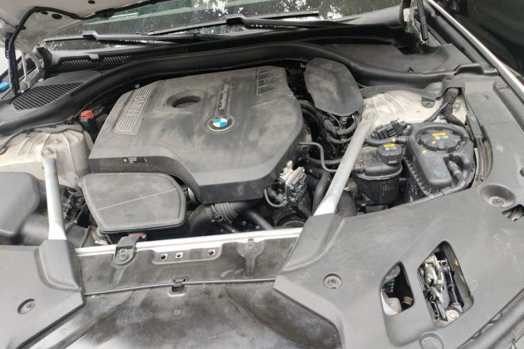 Used BMW 5 Series 2020 530Li Leading Edition Luxury Package Engine Bay