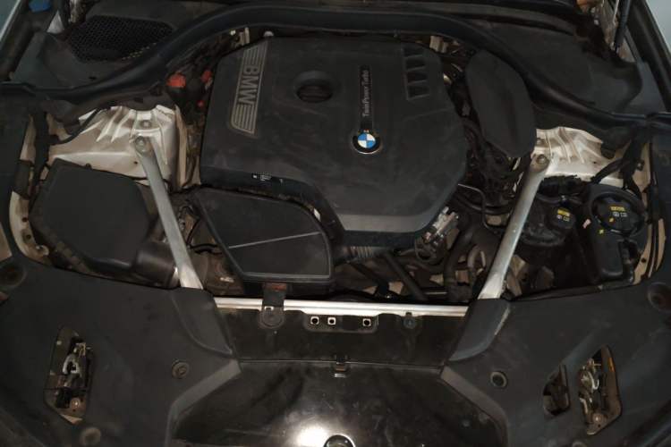 Used BMW 5 Series 2020 525Li M Sport Package Engine Bay