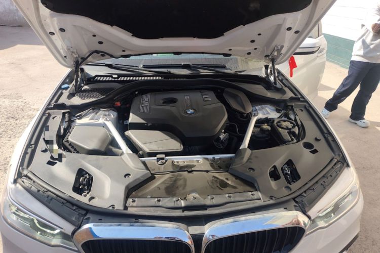 Used BMW 5 Series 2020 530Li Luxury Edition M Sport Package Engine Bay