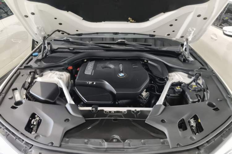 Used BMW 5 Series 2020 530Li Leading Model M Sport Package Engine Bay