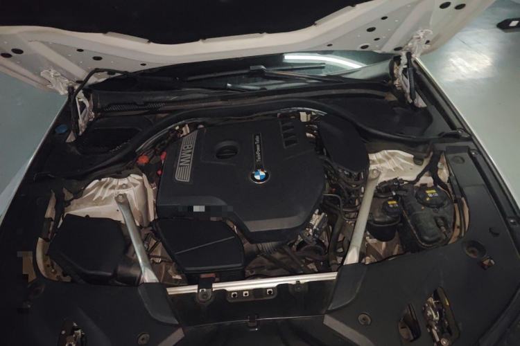 Used BMW 5 Series 2020 530Li Leading Model M Sport Package Engine Bay