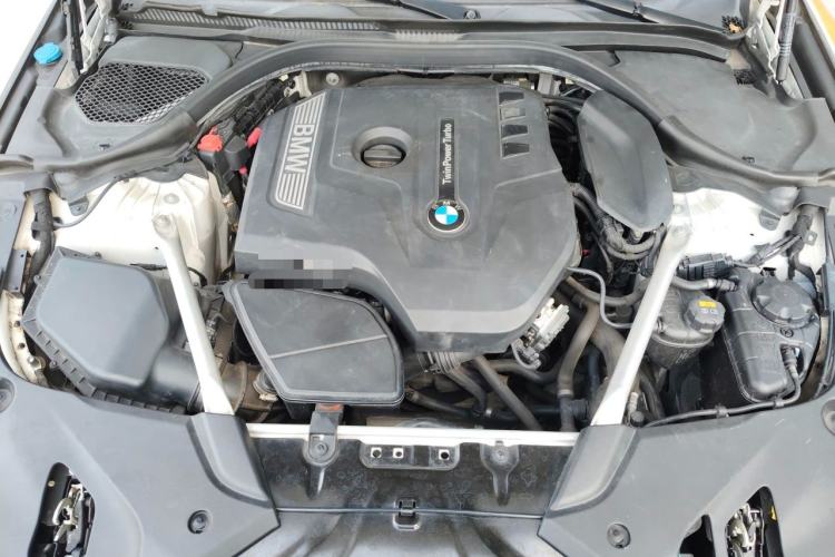 Used BMW 5 Series 2020 530Li Luxury Edition M Sport Package Engine Bay