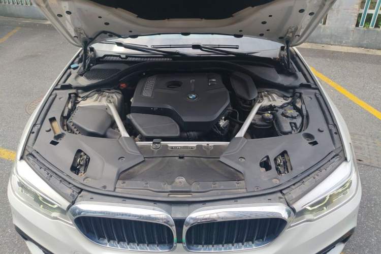 Used BMW 5 Series 2020 530Li Leading Model M Sport Package Engine Bay