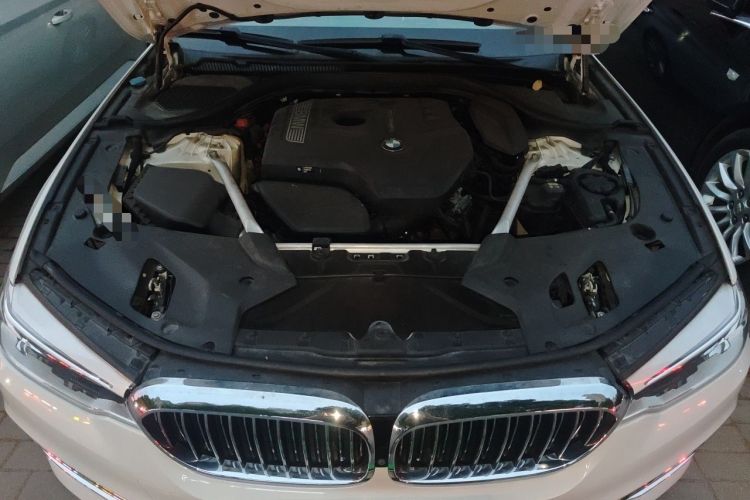 Used BMW 5 Series 2020 530Li Luxury Edition Premium Package Engine Bay