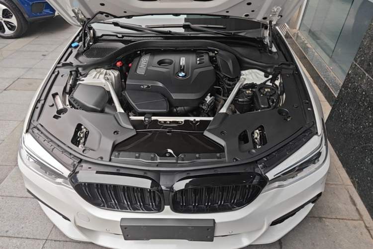 Used BMW 5 Series 2020 530Li Leading Model M Sport Package Engine Bay
