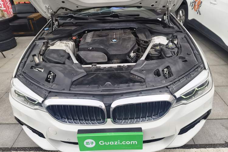 Used BMW 5 Series 2020 530Li Leading Model M Sport Package Engine Bay