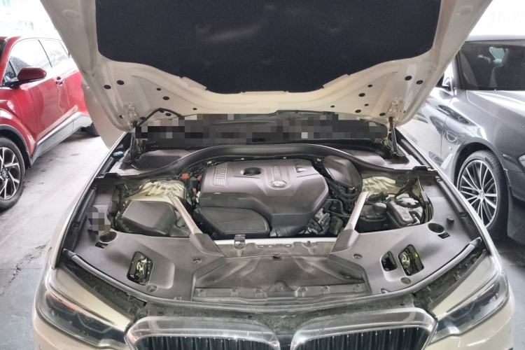 Used BMW 5 Series 2020 530Li Luxury Edition M Sport Package Engine Bay