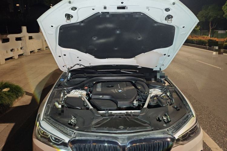 Used BMW 5 Series 2020 530Li Luxury Edition M Sport Package Engine Bay