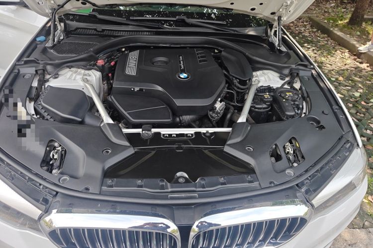 Used BMW 5 Series 2020 525Li Luxury Package Engine Bay