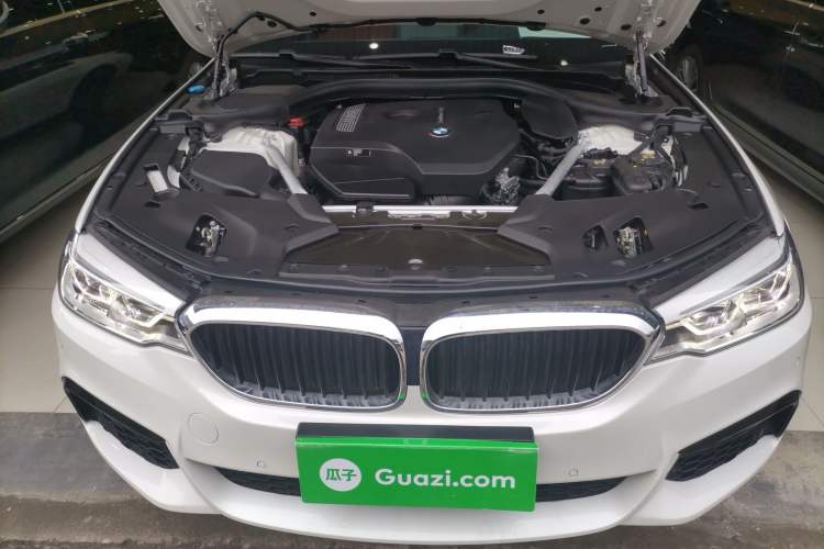Used BMW 5 Series 2020 530Li Leading Model M Sport Package Engine Bay