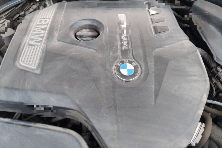 Used BMW 5 Series 2020 530Li Leading Model M Sport Package Engine Bay