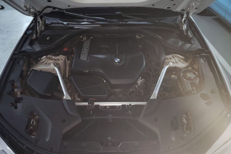 Used BMW 5 Series 2020 530Li Leading Model M Sport Package Engine Bay