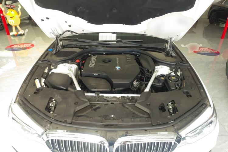 Used BMW 5 Series 2020 530Li Luxury Edition Premium Package Engine Bay
