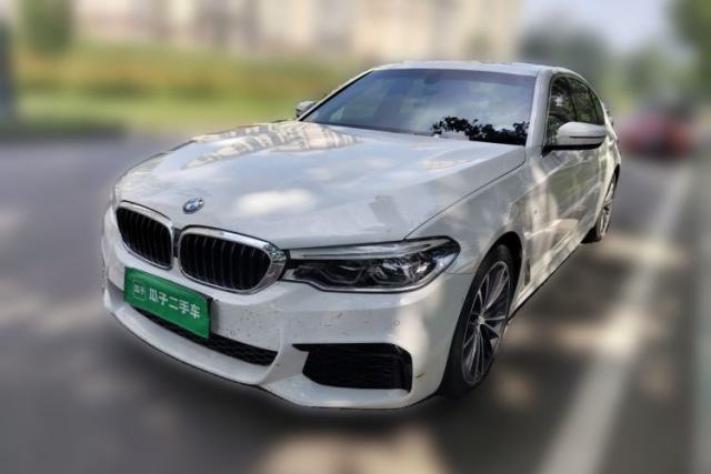 BMW 5 Series 2020 530Li Leading Model M Sport Package usata