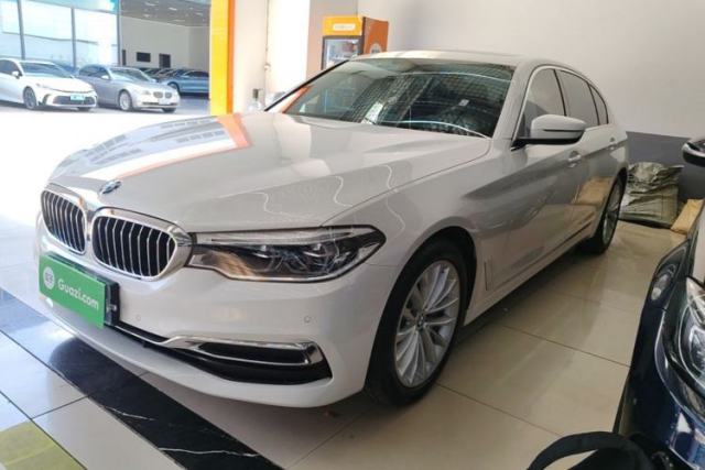 Used BMW 5 Series 2020 530Li Leading Edition Luxury Package