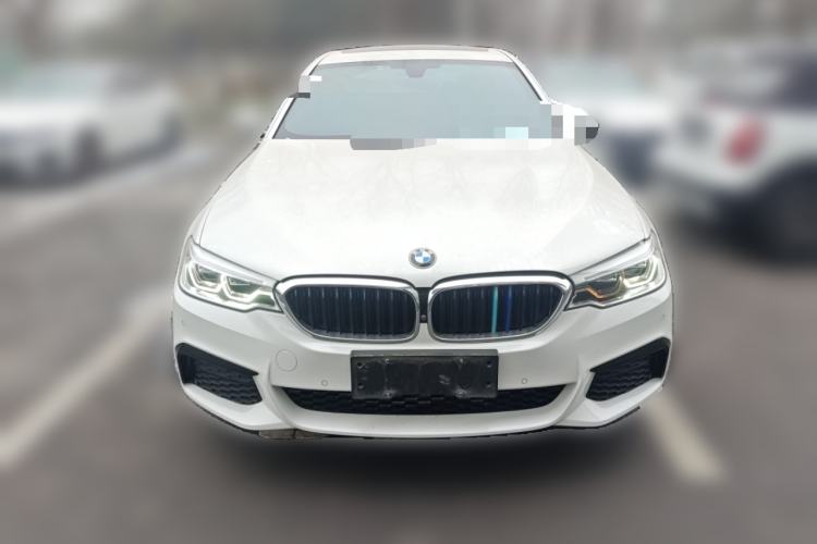 Used BMW 5 Series 2020 530Li Luxury Edition M Sport Package Exterior 1