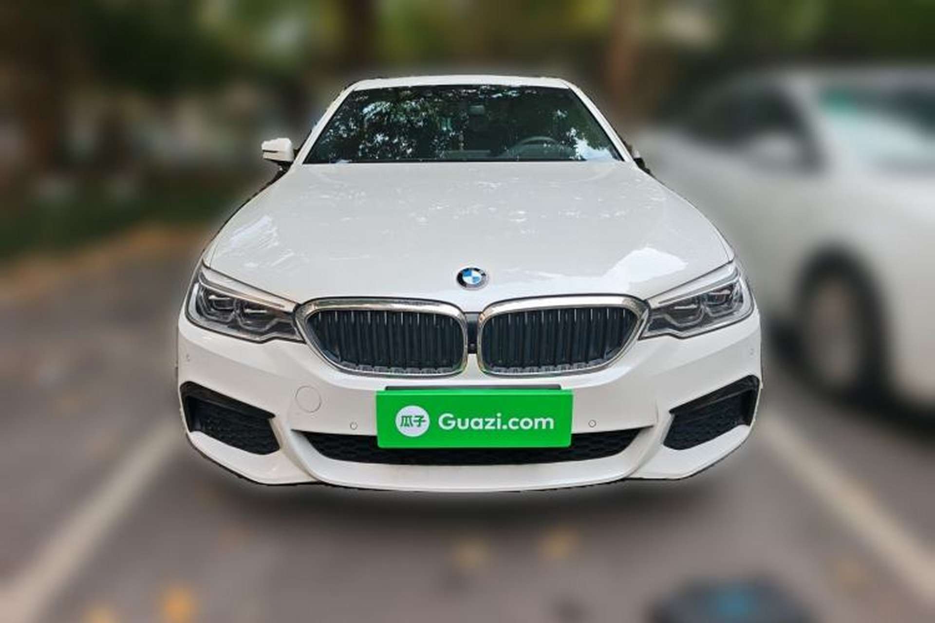 Used BMW 5 Series 2020 530Li Luxury Edition M Sport Package Exterior 1