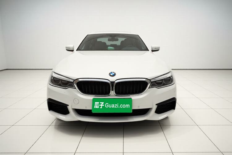 Used BMW 5 Series 2020 530Li Luxury Edition M Sport Package Exterior 1