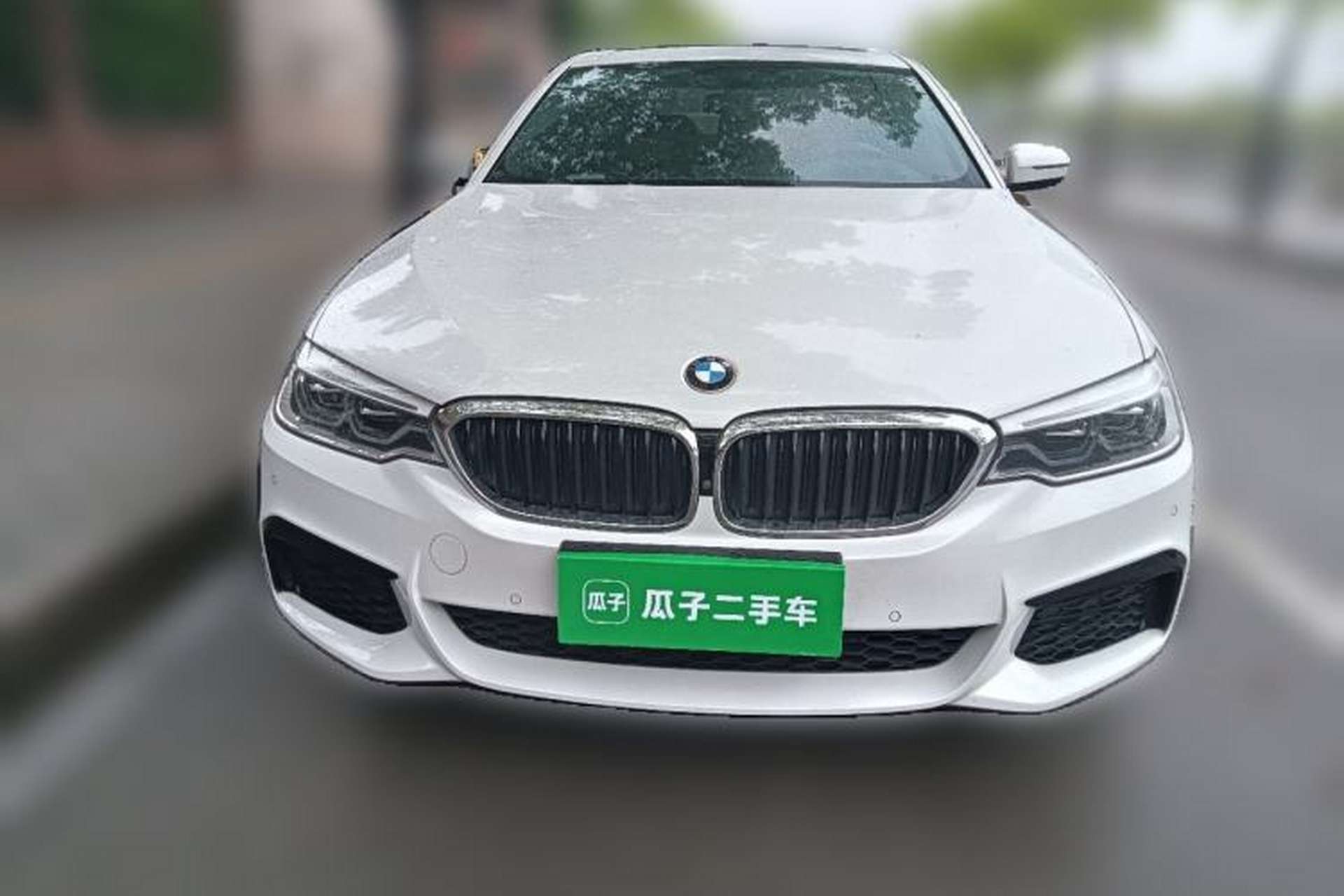 Used BMW 5 Series 2020 530Li Luxury Edition M Sport Package Exterior 1