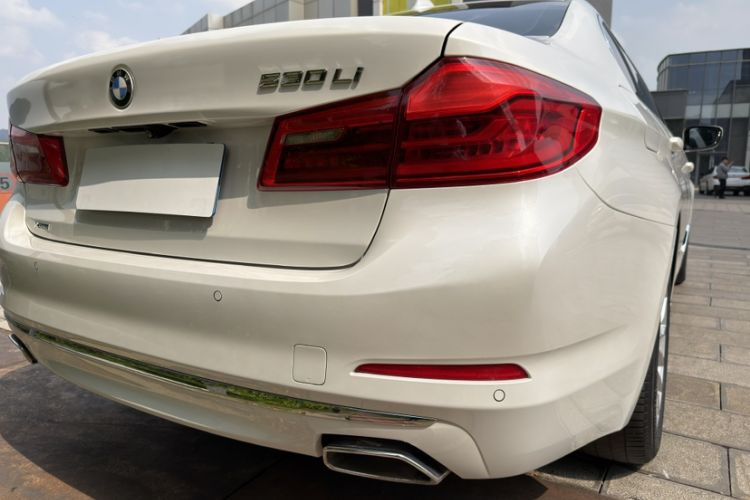 Used BMW 5 Series 2020 530Li xDrive Luxury Package Exterior 10