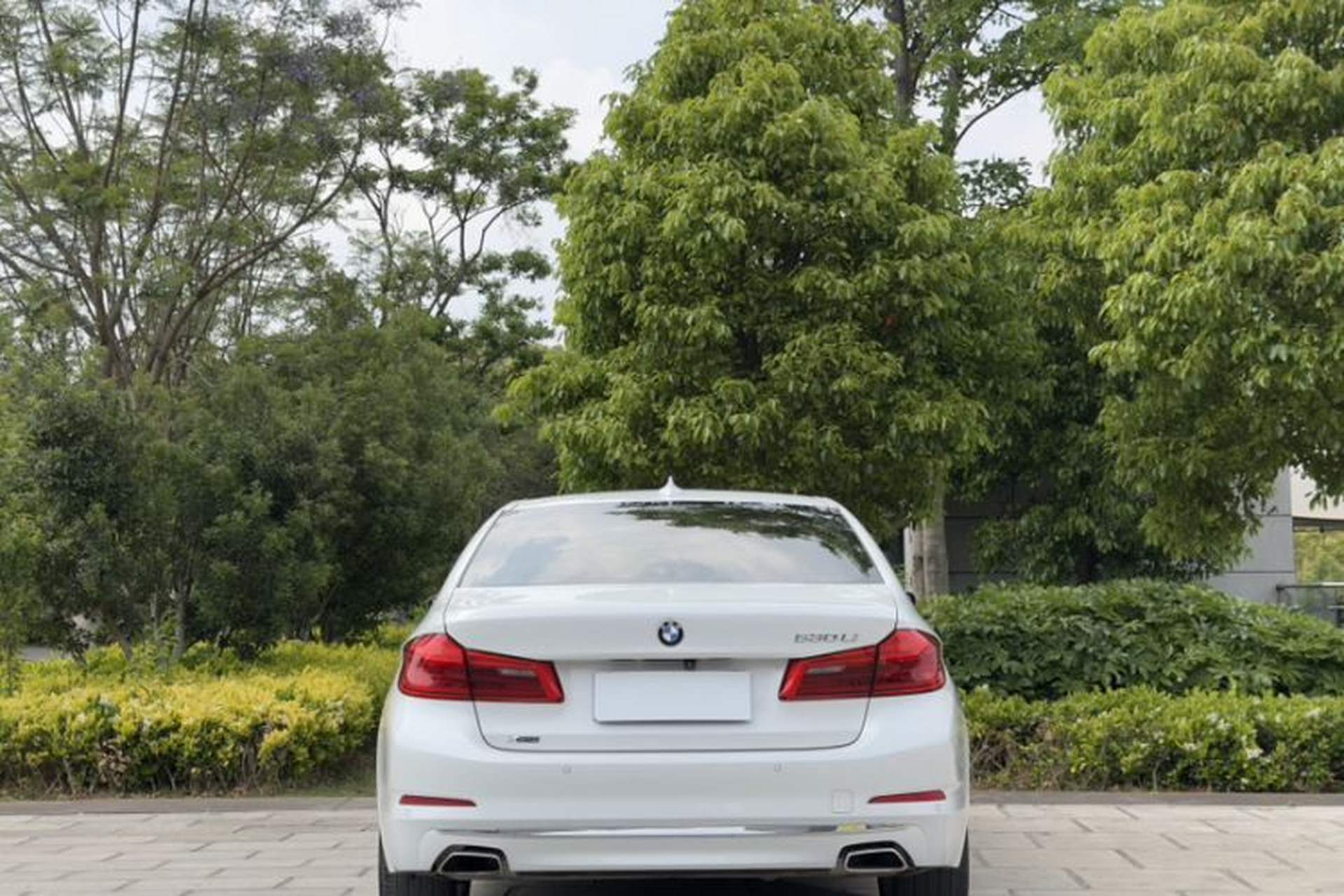 Used BMW 5 Series 2020 530Li xDrive Luxury Package Exterior 11