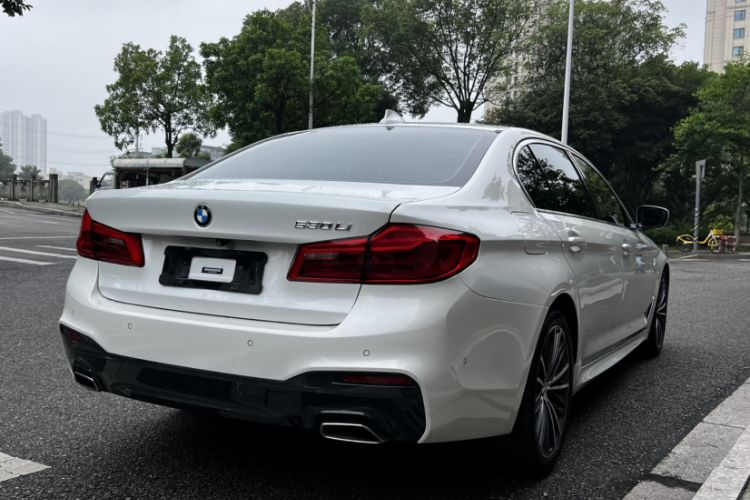 Used BMW 5 Series 2020 530Li Leading Model M Sport Package Exterior 2
