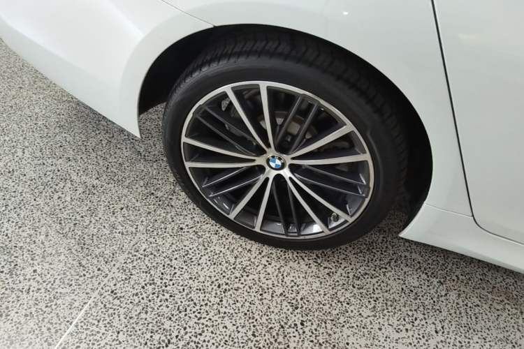 Used BMW 5 Series 2020 530Li Leading Model M Sport Package Exterior 3